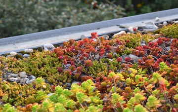 the cost of Mumby green roof installation