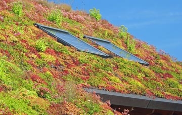 Mumby living roof systems