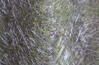 Mumby fibreglass roof work